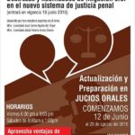 habilidades de litigación